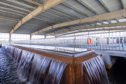 怎么保养多职能微型过滤机？